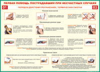 Таблица Порядок действий при ранениях и термических ожогах	 1000*1400 винил - «globural.ru» - Краснотурьинск