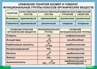 Химия. Сравнение понятий изомер и гомолог. Функциональные группы классов органических веществ (винил) - «globural.ru» - Краснотурьинск