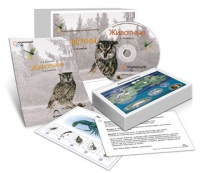Комбинированное наглядное пособие «Животные» - «globural.ru» - Краснотурьинск