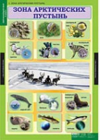 Окружающий мир 4 класс (комплект таблиц) - «globural.ru» - Краснотурьинск