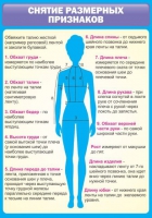 Стенд "Снятие мерок" (вариант 2) - «globural.ru» - Краснотурьинск