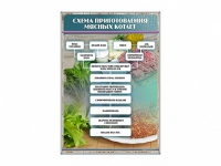 Стенд "Схема приготовления мясных котлет" - «globural.ru» - Краснотурьинск