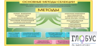 Стенд "Методы селекции и биотехнологии" - «globural.ru» - Краснотурьинск