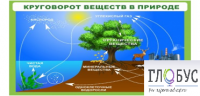 Стенд "Круговорот веществ" - «globural.ru» - Краснотурьинск