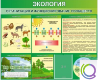 Стенд "Экология. Организация и функционирование сообществ" - «globural.ru» - Краснотурьинск