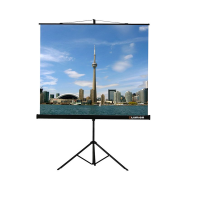 Проекционный экран на штативе Lumien Eco View (LEV-100105) 160x160 см - «globural.ru» - Краснотурьинск