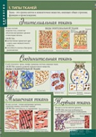 Биология 8-9 класс. Человек. (комплект таблиц) - «globural.ru» - Краснотурьинск