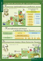 Биология 10-11 класс. Эволюционное учение (комплект таблиц) - «globural.ru» - Краснотурьинск