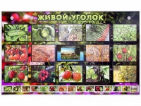 Комплект оборудования "Живой уголок" (растения) с тифлопереводом и сурдокомментариями - «globural.ru» - Краснотурьинск