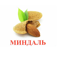 Карточки Домана "Орехи-Ягоды-2" - «globural.ru» - Краснотурьинск