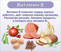 Стенд "Витамин В" - «globural.ru» - Краснотурьинск