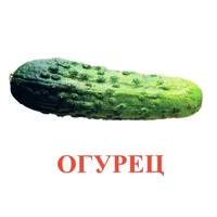 Карточки Домана "Овощи-Зелень-1" - «globural.ru» - Краснотурьинск