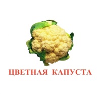 Карточки Домана "Овощи-Зелень-2" - «globural.ru» - Краснотурьинск