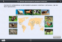 Интерактивные курсы. Биология 7 класс. Расширенный - «globural.ru» - Краснотурьинск