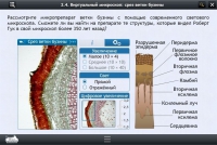 Интерактивные курсы. Биология 5 класс. Расширенный - «globural.ru» - Краснотурьинск