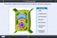 Интерактивные курсы. Биология 9 класс. Расширенный - «globural.ru» - Краснотурьинск