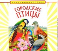 CD "Аудиоэнциклопедия. Городские птицы" - «globural.ru» - Краснотурьинск