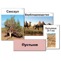 Модель-аппликация "Природные зоны России" - «globural.ru» - Краснотурьинск