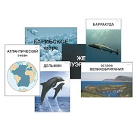 Модель-аппликация "Океаны. Знакомство" (ламинированная) - «globural.ru» - Краснотурьинск
