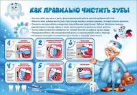 Стенд "Как правильно чистить зубы" - «globural.ru» - Краснотурьинск