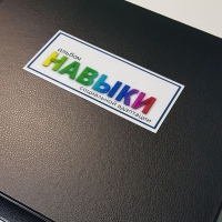 Навыки социальной адаптации. Развивающие пособие на липучках  - «globural.ru» - Краснотурьинск