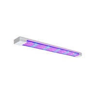 Фитолампа - «globural.ru» - Краснотурьинск