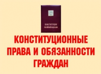Комплект плакатов "Конституционные права и обязанности граждан" - «globural.ru» - Краснотурьинск