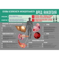 Стенд "Алкоголь" - «globural.ru» - Краснотурьинск