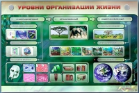 Электрифицированный стенд "Уровни организации жизни" - «globural.ru» - Краснотурьинск