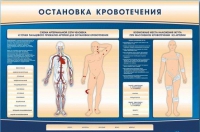Электрифицированный стенд-тренажер "Остановка кровотечения" - «globural.ru» - Краснотурьинск