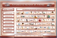 Трехсекционный базовый комплект "Травмы. Кровотечения. Ожоги" для учащихся общеобразовательных учреждений - «globural.ru» - Краснотурьинск