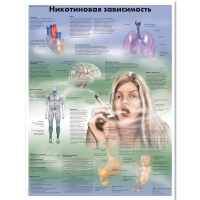 Плакат "Никотиновая зависимость", ламинированный, 50*67 см - «globural.ru» - Краснотурьинск