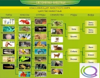 Стенд "Систематика животных" - «globural.ru» - Краснотурьинск