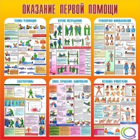 Стенд "Оказание первой помощи" - «globural.ru» - Краснотурьинск