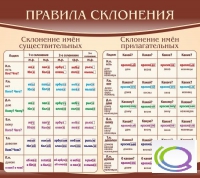 Стенд "Правила склонения" - «globural.ru» - Краснотурьинск