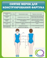 Стенд "Снятие мерок для конструирования фартука" - «globural.ru» - Краснотурьинск