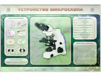 Электрифицированный стенд "Устройство микроскопа и правила работы c ним" - «globural.ru» - Краснотурьинск