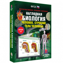 Наглядная биология. Человек. Строение тела человека - «globural.ru» - Краснотурьинск
