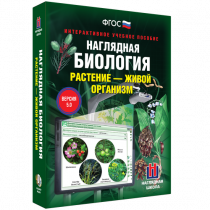 Наглядная биология. Растение - живой организм - «globural.ru» - Краснотурьинск