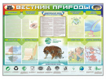 Стенд-уголок "Вестник природы" (вариант 1) - «globural.ru» - Краснотурьинск