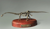 Модель скелета динозавра Diplodocus  (вариант 2) - «globural.ru» - Краснотурьинск