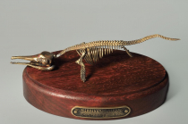 Модель скелета ихтиозавра Ichthyosaurus - «globural.ru» - Краснотурьинск