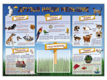 Стенд-уголок "Друзья наши меньшие" - «globural.ru» - Краснотурьинск