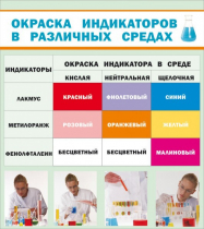 Стенд "Окраска индикаторов в различных средах" - «globural.ru» - Краснотурьинск