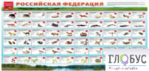 Стенд "Красная книга РФ" - «globural.ru» - Краснотурьинск
