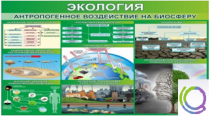 Стенд "Экология. Антропогенное воздействие на биосферу" - «globural.ru» - Краснотурьинск
