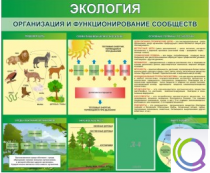 Стенд "Экология. Организация и функционирование сообществ" - «globural.ru» - Краснотурьинск