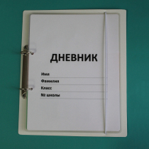 Дневник школьника (с полным набором карточек) - «globural.ru» - Краснотурьинск