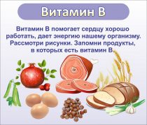 Стенд "Витамин В" - «globural.ru» - Краснотурьинск