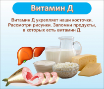 Стенд "Витамин Д" - «globural.ru» - Краснотурьинск